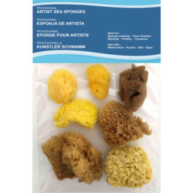 Pack de 7 Éponges de Mer Naturelles pour Art et Artisanat