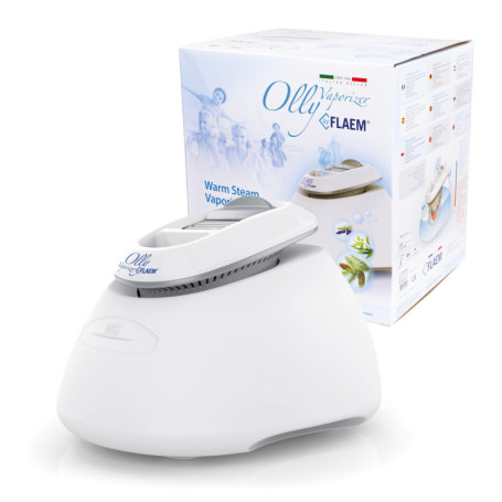 Humidificateur d'Air Flaem Olly avec Diffuseur d'Huiles Essentielles et Lumière Nocturne