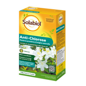 Solabiol Anti Chlorose - Engrais Reverdissant pour Plantes Ornementales - 120g