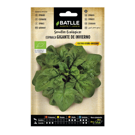 Graines Bio d'Épinards Géant d'Hiver - Semillas Batlle (4g)