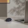 Souris Optique Sans Fil Hama WM-100 - Silencieuse et Ambidextre