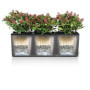 Jardinière LECHUZA Trio Cottage 30 - Kit Complet Granit