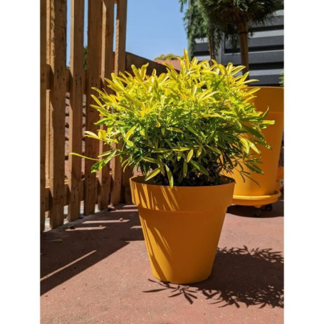 Pot de Fleurs Rond Jaune SOLEILLA - RIVIERA - D59 x H54 cm