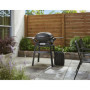 Barbecue à Gaz Weber Q2200N avec Stand - Puissant et Pratique