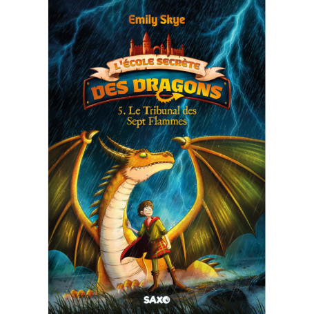 L'École secrète des dragons - Tome 05 Le Tribunal des Sept Flammes