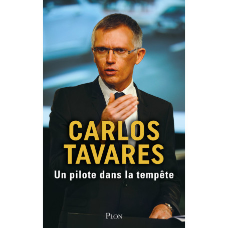 Un pilote dans la tempête