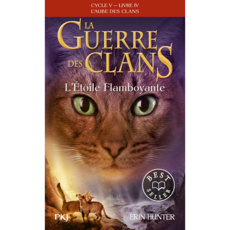La guerre des clans - Cycle V : L'aube des clans - Tome 4 L'Etoile flamboyante