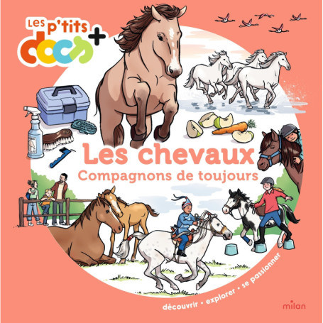 Les chevaux - Stéphanie Ledu