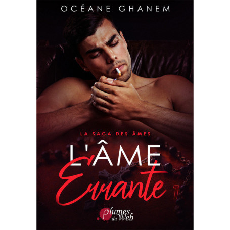 La saga des âmes - Tome 01 L'âme errante