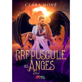 Le crépuscule des anges