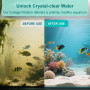 beaufan Lot de 6 filtres en mousse et à charbon - Compatible avec tous les aquariums Biorb - Contient 10 filtres à charbon - 10 