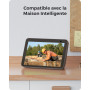 Reolink 4K LTE Camera Solaire avec Carte SIM, 4G Caméra Surveillance Extérieure sans Fil, Vision Nocturne Couleur, Détection AI,