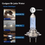 XELORD H7 55W 12V Ampoules Pour Phares De Voiture,Feux De Route/Croisement de Remplacement,Certification E-Mark (2 pièces)