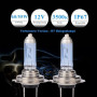 XELORD H7 55W 12V Ampoules Pour Phares De Voiture,Feux De Route/Croisement de Remplacement,Certification E-Mark (2 pièces)