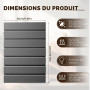 Tapis Egouttoir Vaisselle de Cuisine, Tapis Vaisselle Absorbant de Diatomées, Très Absorbant, Séchage Rapide (Gris Foncé, 40 x 3