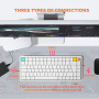 nuphy Clavier mécanique Air75 V3, Clavier 75% à Profil Bas avec molette, Clavier Gaming Hot Swap Compatible Bluetooth/2,4 GHz/US