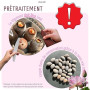 30 pcs. Premium graines de fleurs de lotus 3 couleurs Bonsai graines de lotus Nelumbo nucifera étang jardin plante aquatique