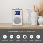 LEMEGA CR4 Radio numérique Dab/Dab+/FM avec Bluetooth,Radio Dab Portable alimentée par Le Secteur,Horloge à Deux alarmes avec Sn