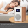 LEMEGA CR4 Radio numérique Dab/Dab+/FM avec Bluetooth,Radio Dab Portable alimentée par Le Secteur,Horloge à Deux alarmes avec Sn