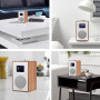 LEMEGA CR4 Radio numérique Dab/Dab+/FM avec Bluetooth,Radio Dab Portable alimentée par Le Secteur,Horloge à Deux alarmes avec Sn