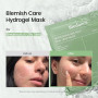 BIODANCE Masque profond rafraîchissant au varech de mer, masque hydrogel, apaisant, contrôle de l'huile et du sébum, soin des im