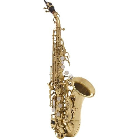 SC620 Saxophone Soprano Courbe