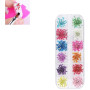 Générique Fleur séchée Nail Art Décoration Set 24pcs Vraie Gypsophile Fleur Séchée pour Nail Art Conservé Fleur Manucure Ongles 