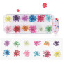 Générique Fleur séchée Nail Art Décoration Set 24pcs Vraie Gypsophile Fleur Séchée pour Nail Art Conservé Fleur Manucure Ongles 