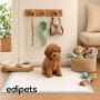Edipets, Alaise pour Chien, Alese Jetable, 45x60, Tapis pour Chiot, Apprentissage de la Propreté, Anti-Fuite et Résistante (40 P