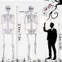 SIFOEL Squelette d'halloween 240cm Géant avec Articulations Mobiles en Plastique Posable Réaliste pour Décoration d'halloween