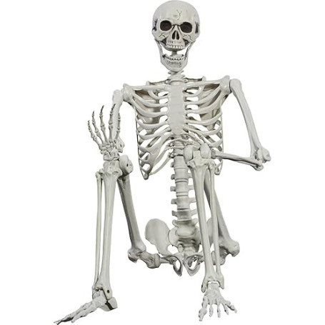 SIFOEL Squelette d'halloween - 165 cm - Taille réaliste - Squelette Humain - avec articulations Mobiles - Décoration de Maison h