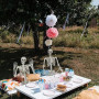 SIFOEL Squelette d'halloween - 165 cm - Taille réaliste - Squelette Humain - avec articulations Mobiles - Décoration de Maison h
