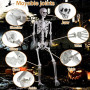 SIFOEL Squelette d'halloween 240cm Géant avec Articulations Mobiles en Plastique Posable Réaliste pour Décoration d'halloween