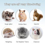 Roue Hamster 21 cm, Roue d'exercice Silencieuse pour Hamster, Roue de Course pour Chinchilla Gerbilles, Hamsters Wheel de Jouet