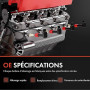 Frankberg Bobine d'Allumage Essence Compatible avec Saxo S0 S1 1.1L 306 Cabriolet 7D N3 N5 1.8L 306 Break 7E N3 N5 1.6L ZX N2 1.
