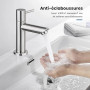 Ibergrif M18103 Mitigeur de lavabo à eau froide, monocommande pour lavabo extérieur, WC invités, acier inoxydable, finition bros