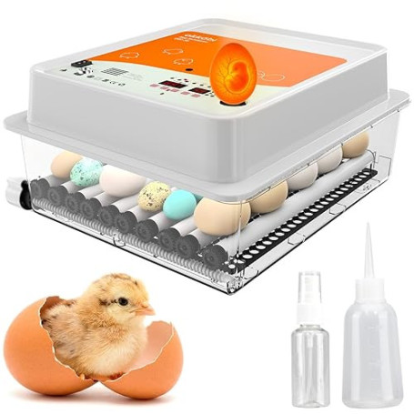 Okköbi OBI-36 Couveuse Automatique – Incubateur à œufs pour 36 œufs avec Retournement Automatique - Couveuse Poule pour œufs de