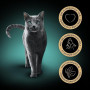 SHEBA Mini Filets - Sachets Fraîcheur en Sauce, Sélection à la Volaille pour Chat Adulte - 40x85g