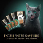 SHEBA Mini Filets - Sachets Fraîcheur en Sauce, Sélection à la Volaille pour Chat Adulte - 40x85g
