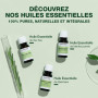 PRANARÔM - Menthe Poivrée - Huile Essentielle Chémotypée - Digestion & Tonus - 100% Pure Et Naturelle - HECT - 10 ml