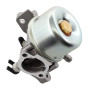 MCHNIC Carburateur avec joint pour tondeuse Briggs & Stratton 799871 799866 796707 794304 790845 128L05 128L07 128M02 12H800 625