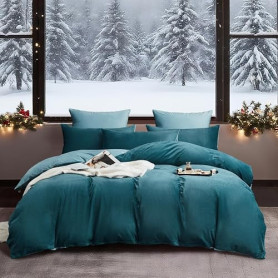 YASMENG Housse de Couette Flanelle 220x240 Hiver Chaude Pétrole Bleu Clair Polaire Parure de Lit Flanelle Doux Duveteux Linge de