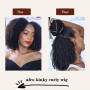 Perruque Afro Courte Cheveux Humains Naturels Brésilienne Afro Bouclée Cheveux Humains Naturels pour Femmes Noires 16 Pouces