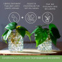 comforder – Perles d’Eau Transparentes – 10 000 Billes pour Plantes & Vases – Non Toxiques & Biodégradables
