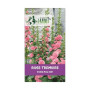 20 graines de Rose Tremiere rose clair - Alcea rosea - vivace - charter's rose