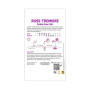 20 graines de Rose Tremiere rose clair - Alcea rosea - vivace - charter's rose