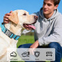 Ledeak Collier de Chien Tactique, Militaire Collier Réglable Nylon Chien avec Poignée, Colliers pour Chiens Rembourré avec Boucl