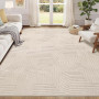 Enyhom Tapis Salon Moelleux 160 x 230 cm, Extra Epais Tapis Chambre Antidérapant Lavable en Machine,Ne Perd Pas Ses Poils, Grand