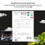 SHILAJIT TEAM NUTRITION | Résine Pure Grade Or de l’Himalaya | Haut en Acide Fulvique | Testé & Certifié En France | Énergie, Im
