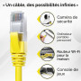 Mr. Tronic Câble Ethernet Cat 7 10m, CCA Haute Vitesse cable ethernet- Câble Réseau LAN Rond Intérieur avec Connecteurs RJ45 | 2